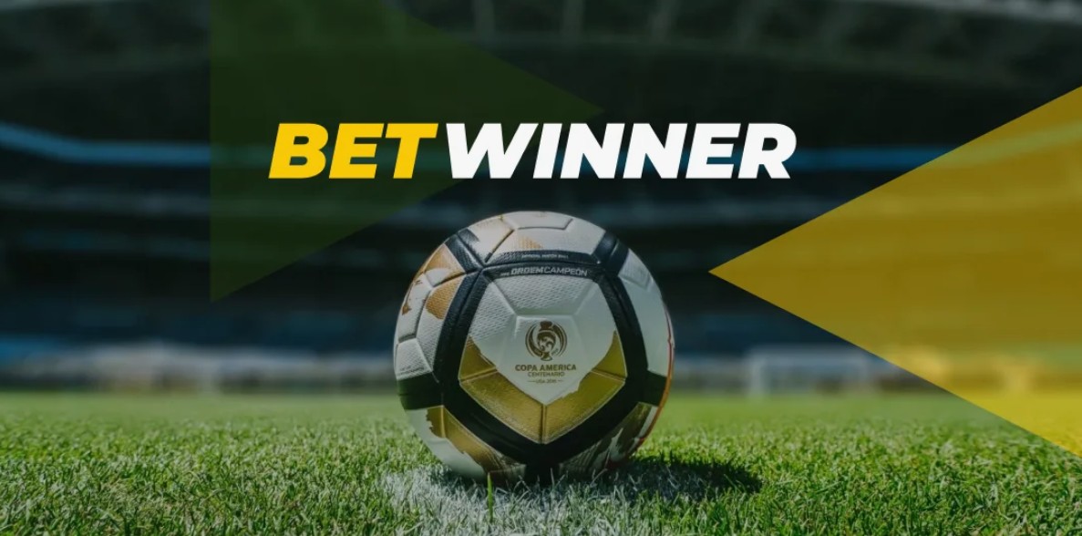 Exploring Betwinner Your Guide to Betting Success Exploring Betwinner Your Guide to Betting Success
