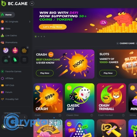 Experience Unmatched Entertainment with BC Fun Experience Unmatched Entertainment with BC Fun