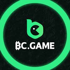 Experience Unmatched Entertainment with BC Fun Experience Unmatched Entertainment with BC Fun